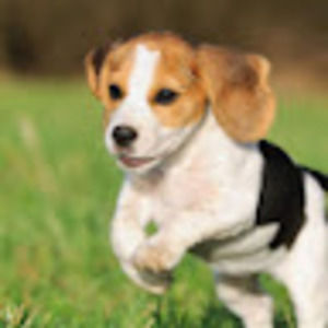 Meet your Posher, Sherry